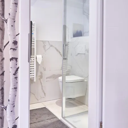 Des Victoires アパート ミュルーズ