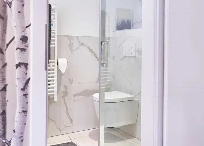 Des Victoires アパート ミュルーズ